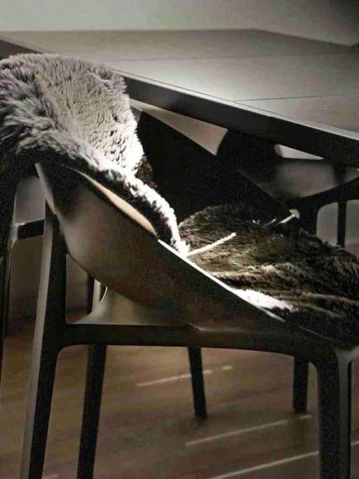 Apartment Design - Wohnen Mit Stil Und Komfort *